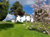 Penygelli Apartments