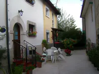 B&B Myosotis