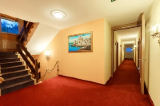 施沃爾澤瓦爾索納酒店