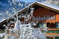 Steinbach-Hotel Hotels in Ruhpolding