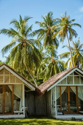 La Belle Hollow Trees Hotels in Bosua