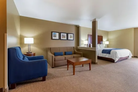 Comfort Inn & Suites Mandan - Bismarck Отели в г. Мандан