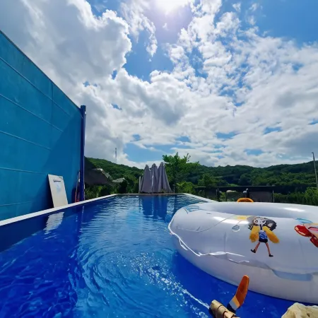 Jjongi and Mary Pet Friendly Pension