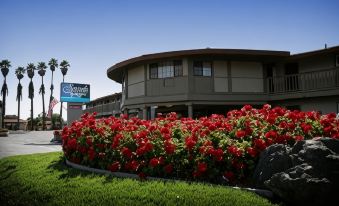 Sands by the Sea Motel