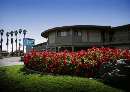 Sands by the Sea Motel Отели рядом с достопримечательностью «Friends Of The Elephant Seal»