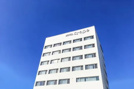 Daegu Seongseo Crape