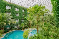 Paradise Hotel - Pools