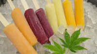 天然溫泉鶴舞之湯多米酒店千歲