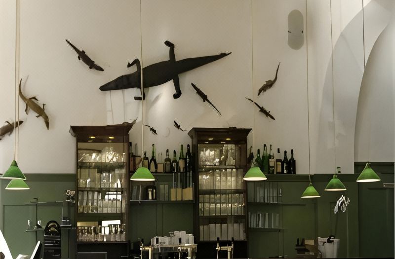 Hotel Restaurant Krokodil photo 2