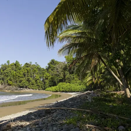 Peaceful ocean view Home in  Ballena Marine National Park.  Walk to Beaches.