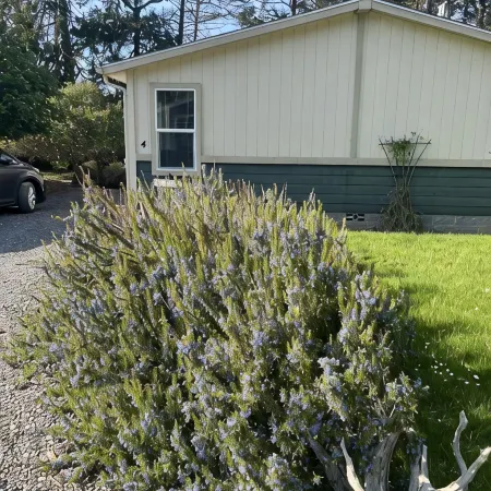 Private Beach Access with beautiful water view between Sequim and Port Angeles