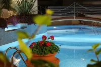 Hotel Donatella Pinarella - プール
