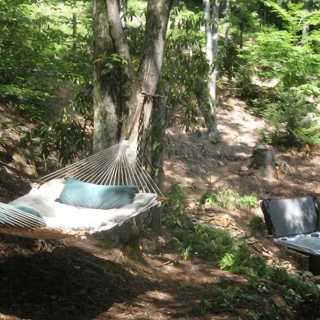 Private Getaway-17 miles to Asheville,  Hot Tub & Fireplace, Pet Friendly