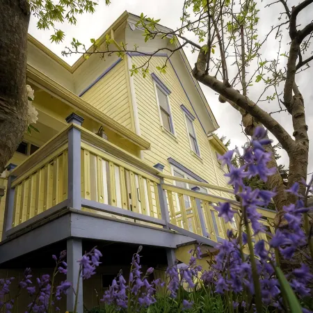 Just 3 Blocks from Downtown! Charming Studio Apartment!