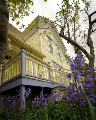 Just 3 Blocks from Downtown! Charming Studio Apartment!