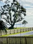 Acadian cottage 1 minute walk to beach, 5 minutes to Old Town BSL! Best location - 3성급