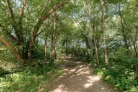 "Morning View 3” Cozy Modern Stay - College/Hiking - 3-Star