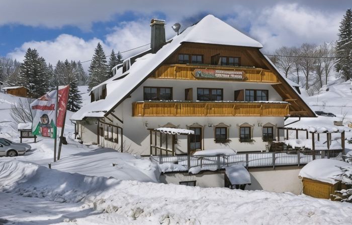 Hotel & Restaurant Grüner Baum - Die Grüne Oase am Feldberg