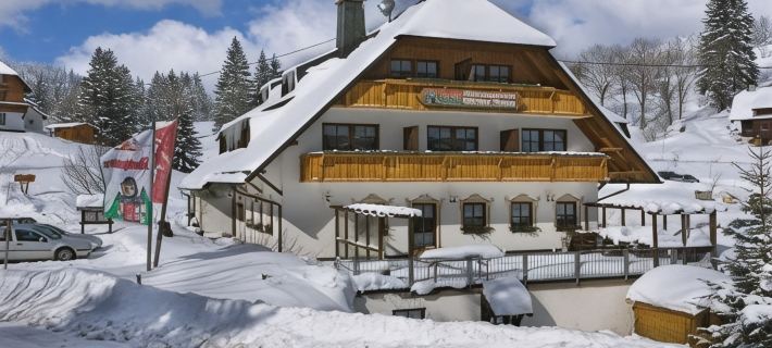 Hotel & Restaurant Grüner Baum - Die Grüne Oase am Feldberg Hotels in Feldberg