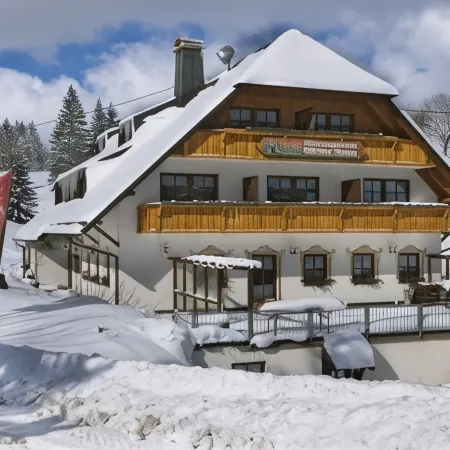 Hotel & Restaurant Grüner Baum - Die Grüne Oase am Feldberg