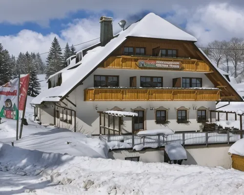 Hotel & Restaurant Grüner Baum - Die Grüne Oase am Feldberg Hotels in Feldberg