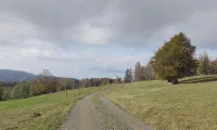HOLIDAY APARTMENT ON THE FOREST 4 - Wifi