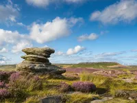 Ashbourne Heights Holiday Park - Holiday Accommodation 18103 - Country Houses