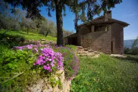 Art, nature and peace upon the mountain of St. Francis.