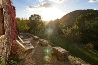 Mirabó de Valldemossa - Baarit