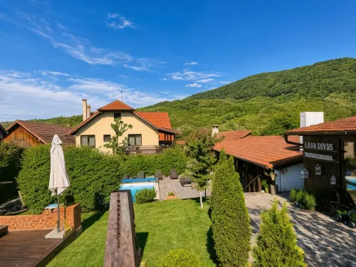 Casa Dives - Varianta Boierească - Homestays