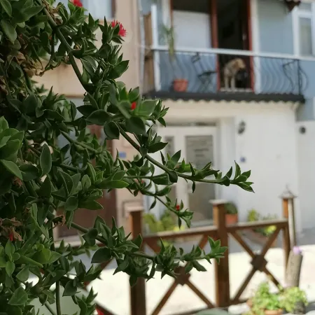 Hotel Mudanya