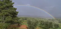 Apartment Farmhouse between Siena and the Sea relax swimming pool WiFi 1 room 2-4 P - WiFi