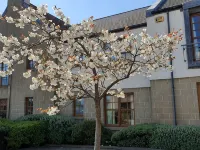 2 bedroom garden apartment, Crail, Roseford Apartment with private parking Hotels in Crail