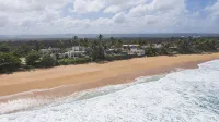 Blue Nest at the Beach - Beach
