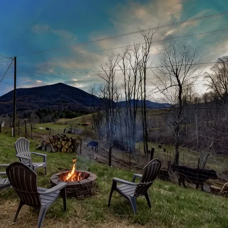Serene Pine Tree Meadows Cottage w/ Stunning Views