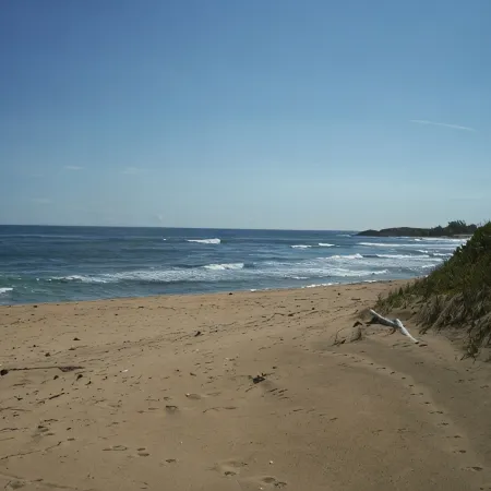 Room with a View! Stay Love Play on the Beach in Isabela, Between Jobos & Shacks