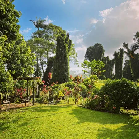 Spacious Historic Estate ~ 5 Min Walk to Hilo & Bay Front