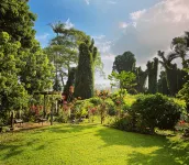 Spacious Historic Estate ~ 5 Min Walk to Hilo & Bay Front - 3-Star