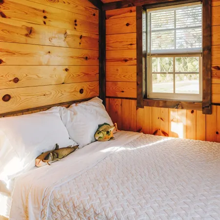 Tiny Cabin At The Pond