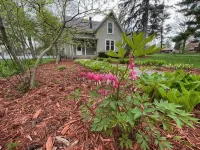 Hidden Northfield Cottage Hotels in Northfield