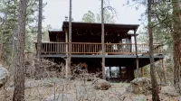 Secluded Chalet in the Pines Near Palmer Lake, Monument. 3BR Sleeps 8! - Chalets