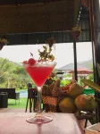 The Royal Bamboo Lodges - Baarit