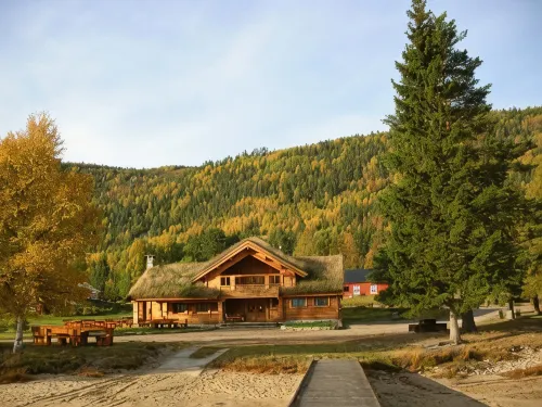 Nisser Hyttegrend og Camping - Homestays