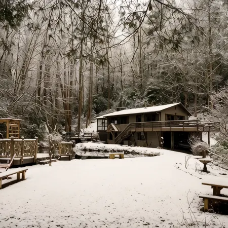 Mountain Creek Cabin VERY private 13 acres with trails, creeks. Bordering USNF!