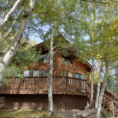 Mountain Chalet Tucked in Aspen Grove with Mountain Views
