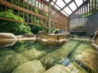 Hotel Ogawa - avec sources thermales