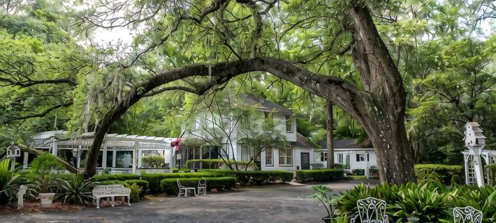 Winter Discounts/ We Love Pets and They Love Our Amenities Hotels in Summerville