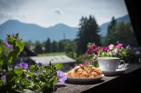 Landhaus Ertle - Mountain view