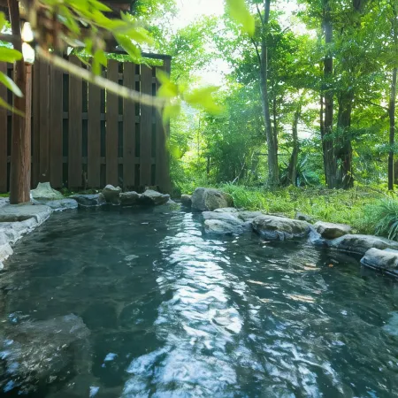 Hotel Ryusenkaku