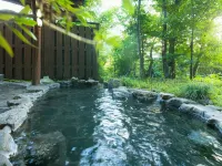 Hotel Ryusenkaku - Hot Springs